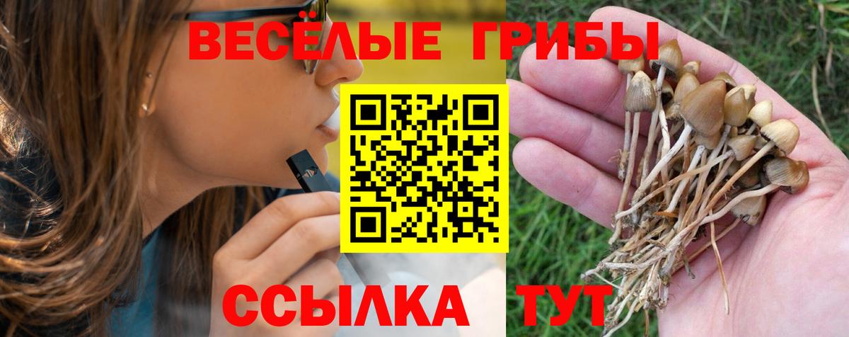Галлюциногенные грибы Magic Shrooms  Псилоцибиновые грибы Cubensis  Вход с VPN  купить   Вичуга 