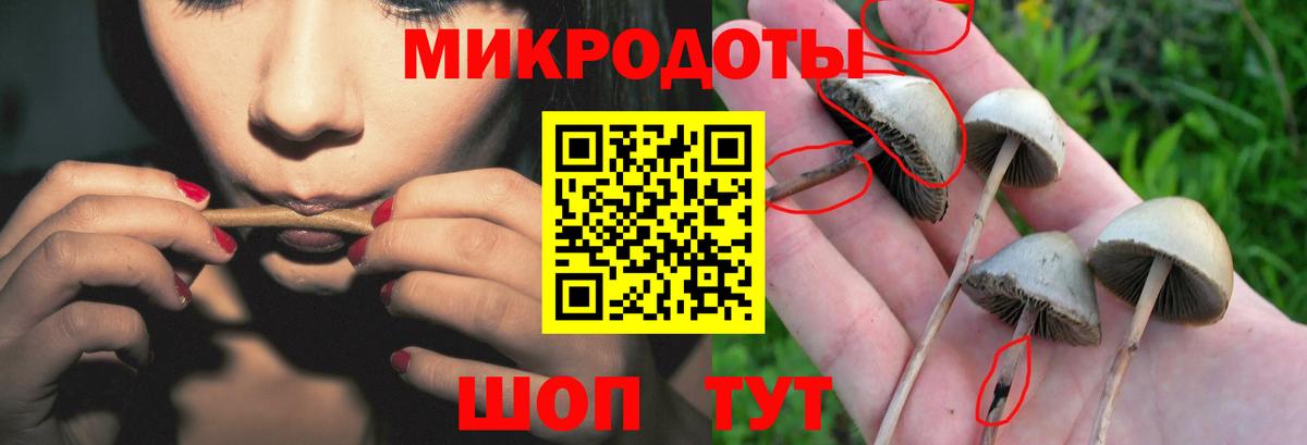Псилоцибиновые грибы мухоморы Вичуга
